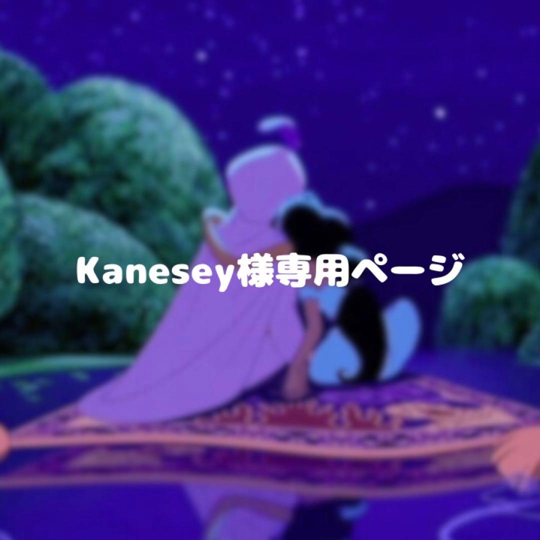 Kaneseyページ