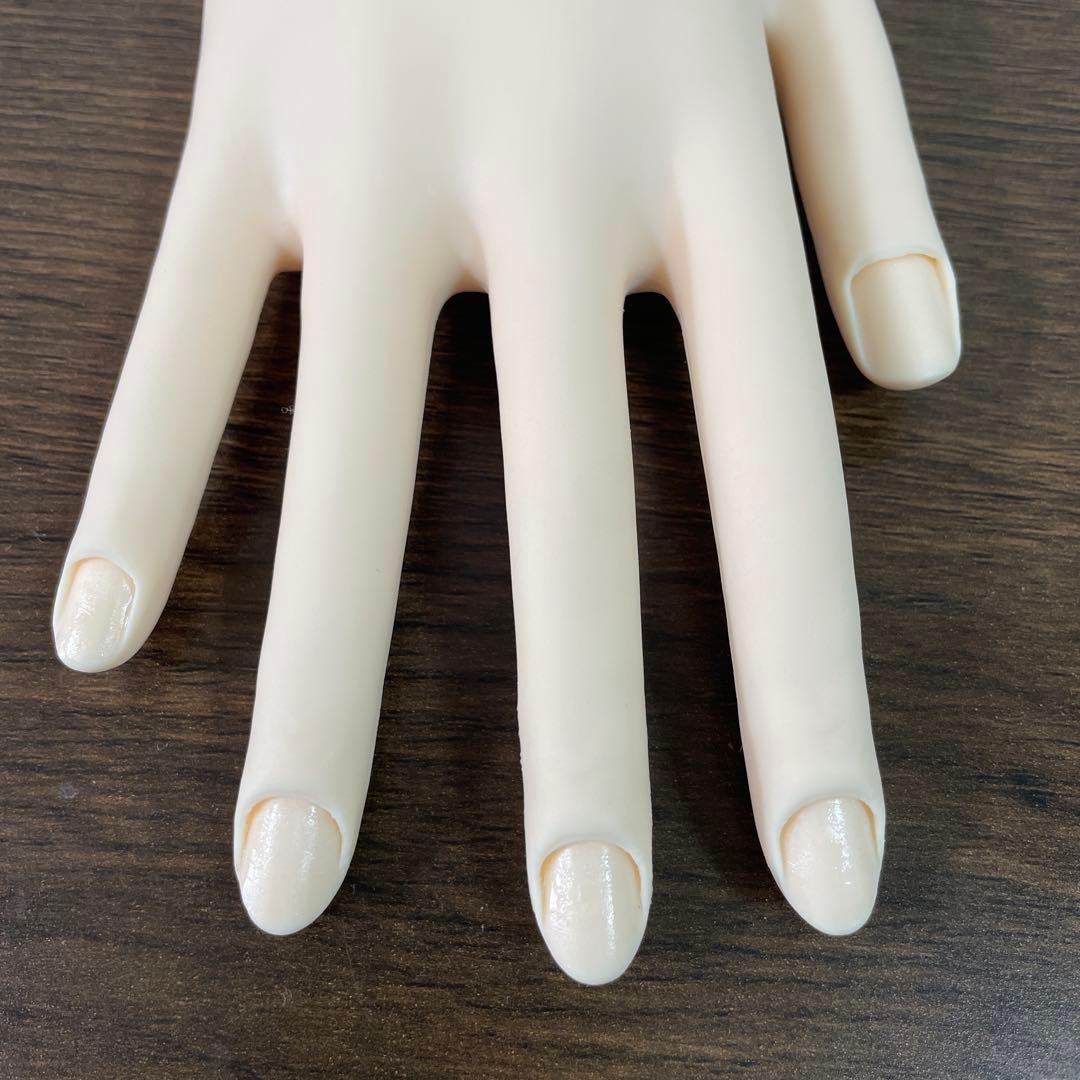 JNEC認定モデルハンド 両手＋消耗品