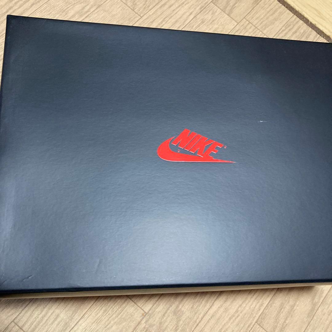 NIKE 28 エアジョーダン　ウィメンズ ベージュ 　エレベート　メル公園