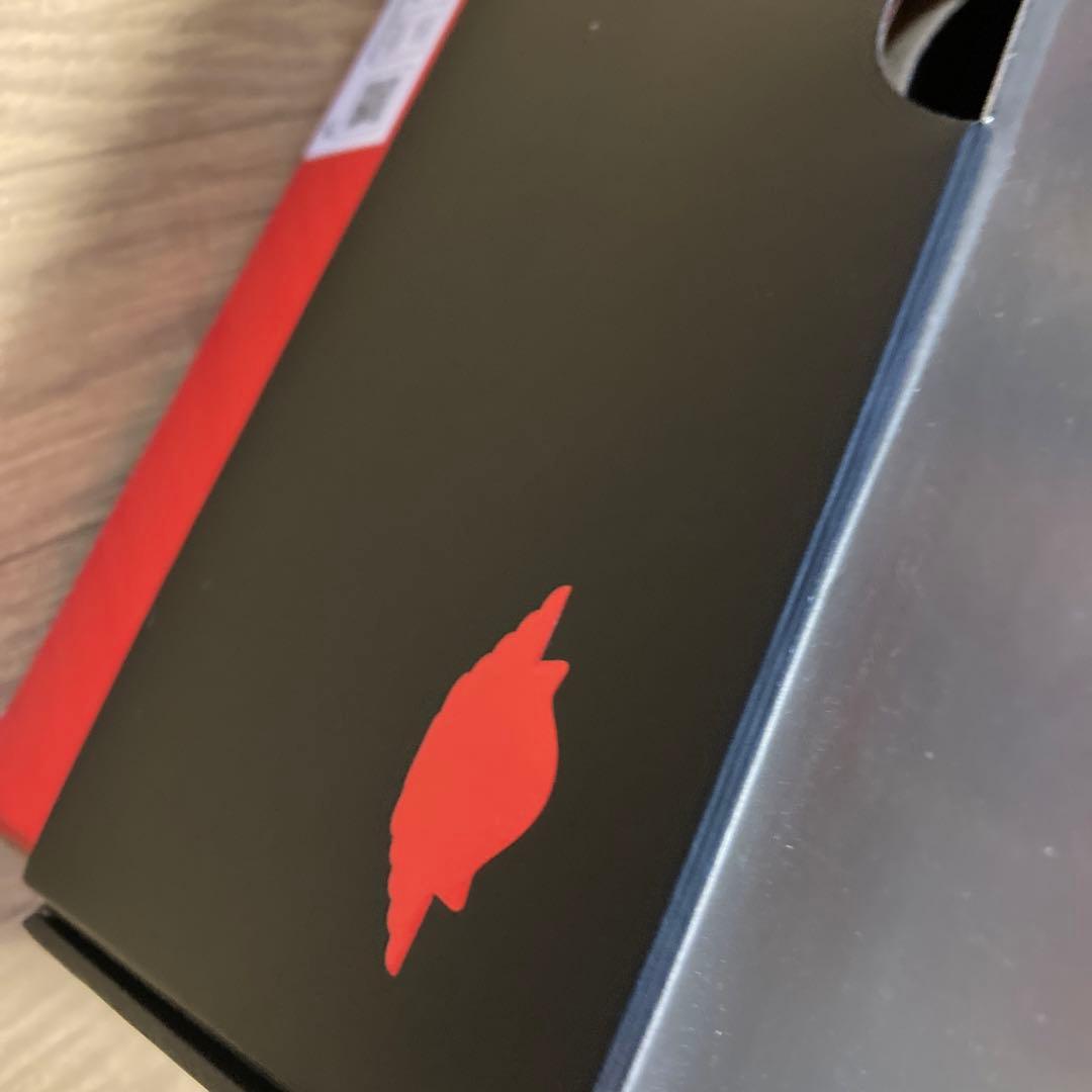 NIKE 28 エアジョーダン　ウィメンズ ベージュ 　エレベート　メル公園