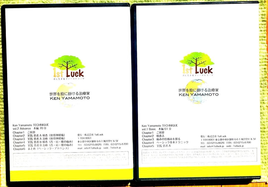Ken Yamamoto DVD LEVEL1&2セット　視聴確認済み　発送早い