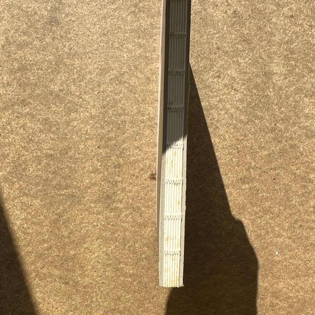 Michaël Borremans The Advantage