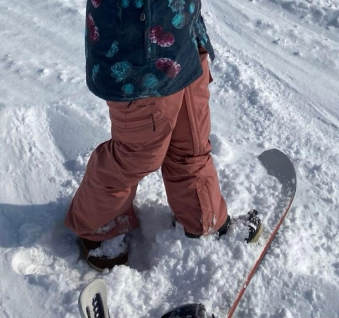 VOLCOM スノーボードパンツ (GORE-TEX)