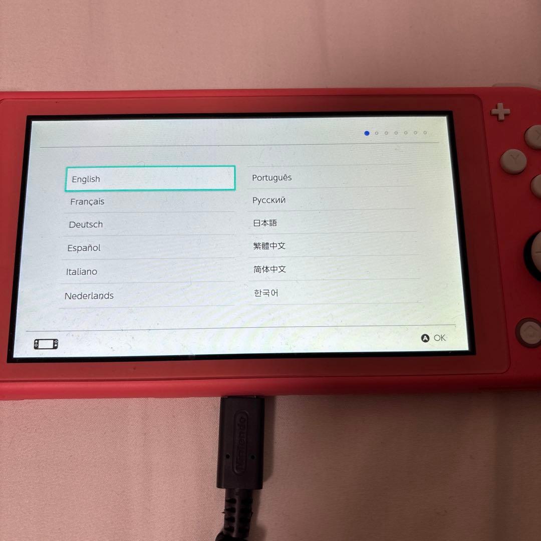 Nintendo Switch Lite ピンク 本体　ケース・ケーブル付き