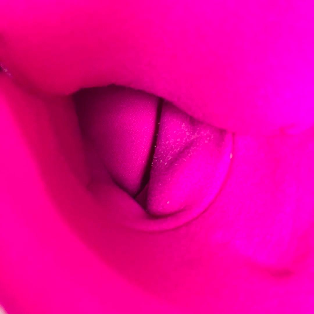 【美品】 kissmark スノーボードブーツ 25.5 BOA