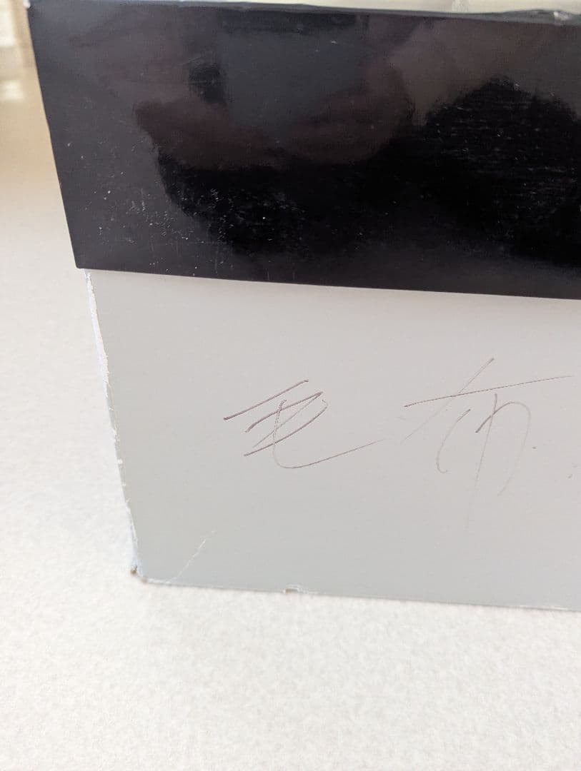 LANVIN ニューマイヤー 毛布 2枚 セット