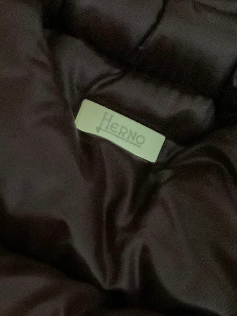 HERNO ヘルノ　レディスダウンベスト　ロング丈　フード付き　サイズ42