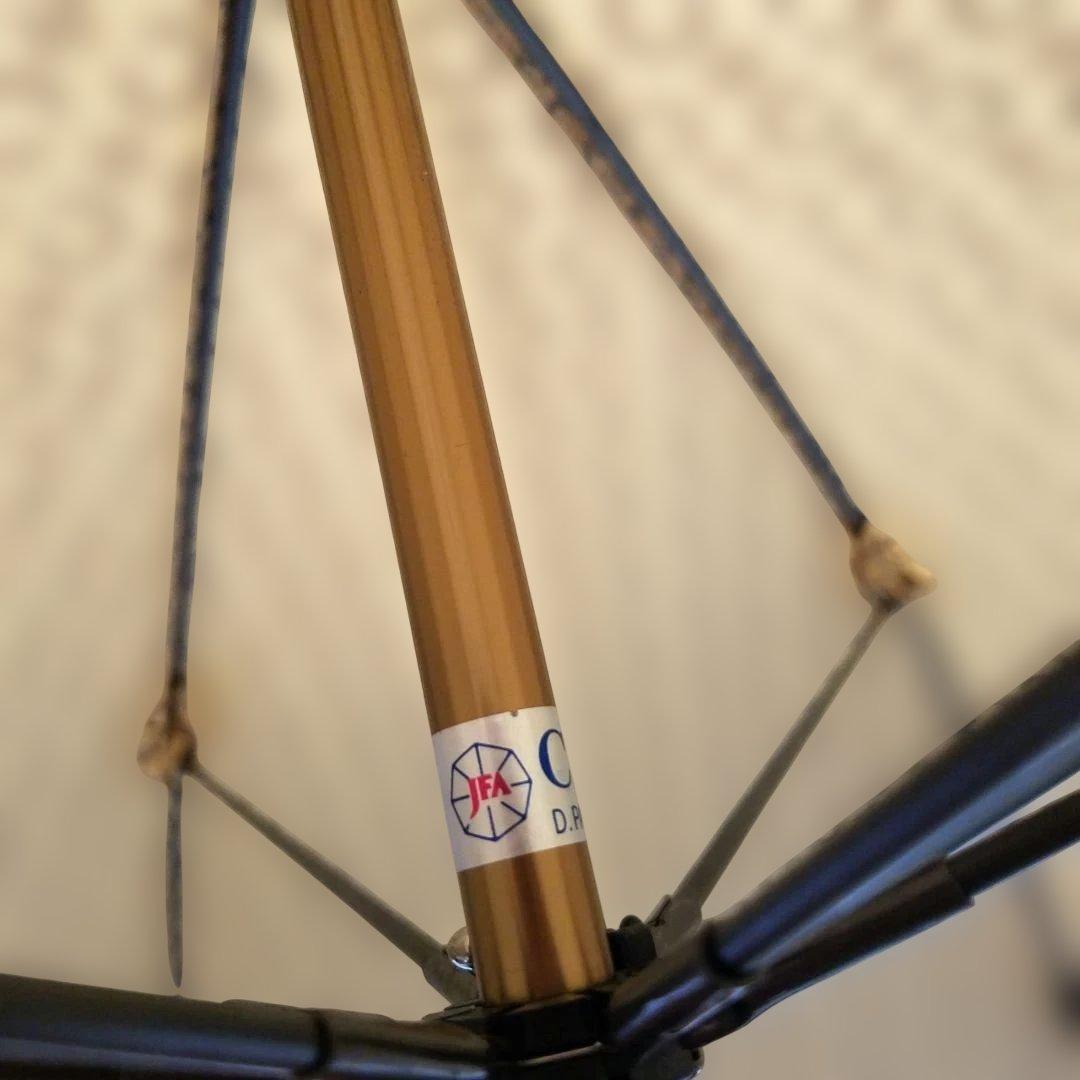 【極美品・希少】CELINE 傘 トリオンフ 総柄 ベージュ ゴールド金具