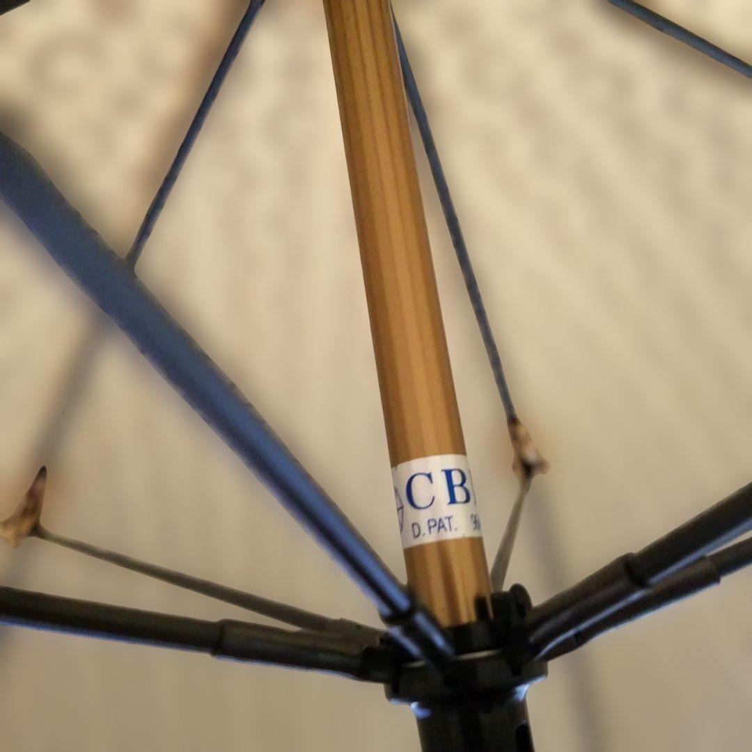 【極美品・希少】CELINE 傘 トリオンフ 総柄 ベージュ ゴールド金具