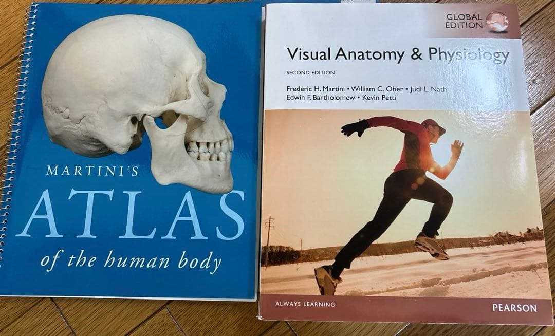 視覚解剖学と生理学、グローバルエディション+マルティーニの人体地図