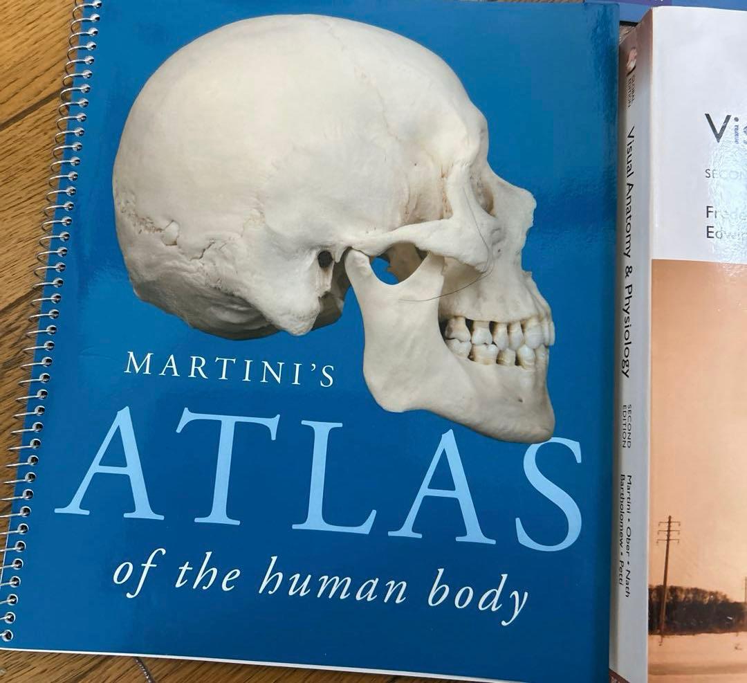 視覚解剖学と生理学、グローバルエディション+マルティーニの人体地図