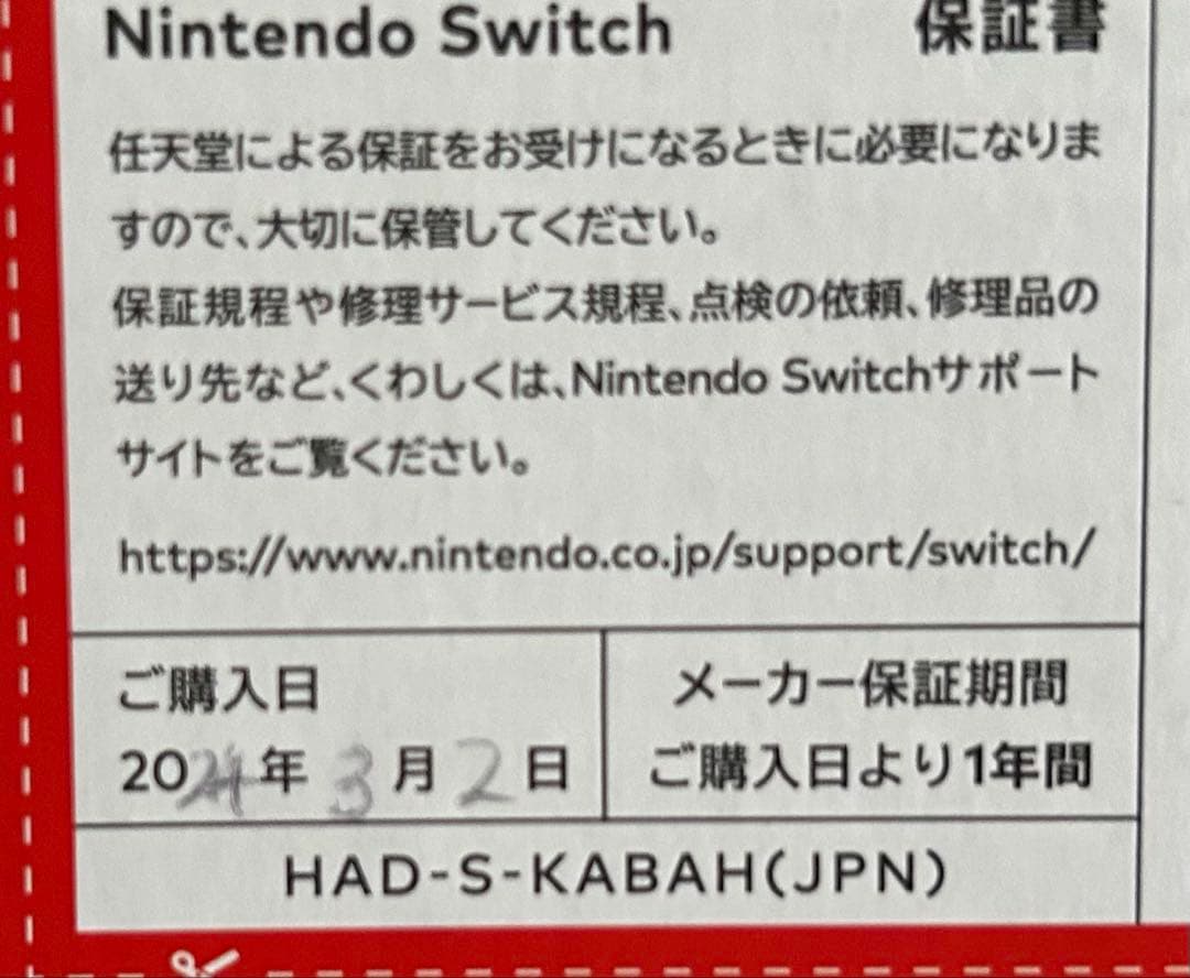Nintendo Switch 本体+大乱闘スマッシュブラザーズ SPECIAL
