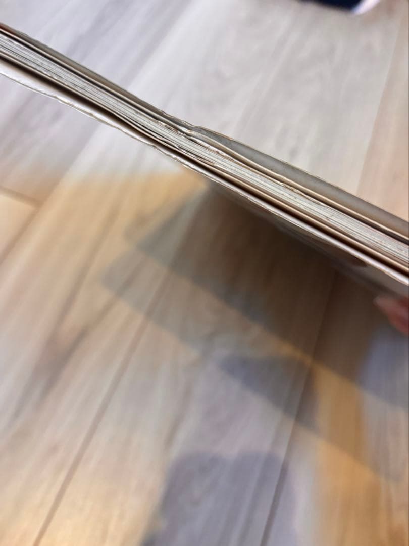 なめ猫 写真集「なめんなよ 大写真館」1982年 初版 新興楽譜出版社