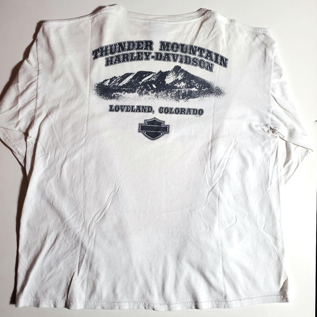 ハーレーダビッドソン　プリント　ロゴ　ファイアー　フレイム　白　長袖　ロングT