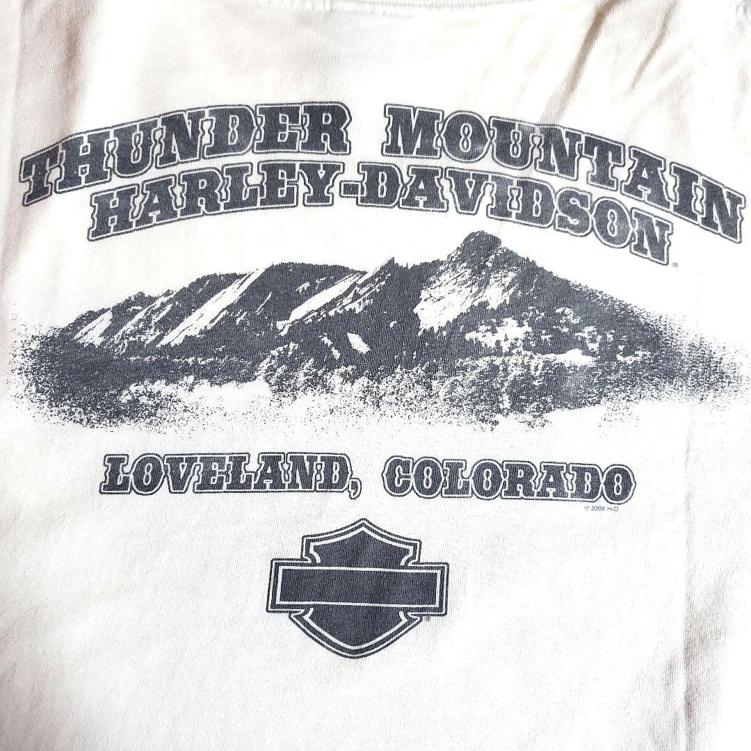 ハーレーダビッドソン　プリント　ロゴ　ファイアー　フレイム　白　長袖　ロングT