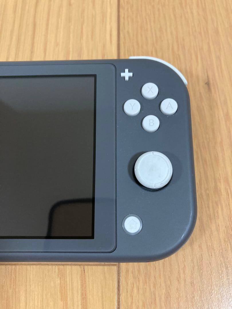 Nintendo Switch ライト 本体 グレー ケース付き