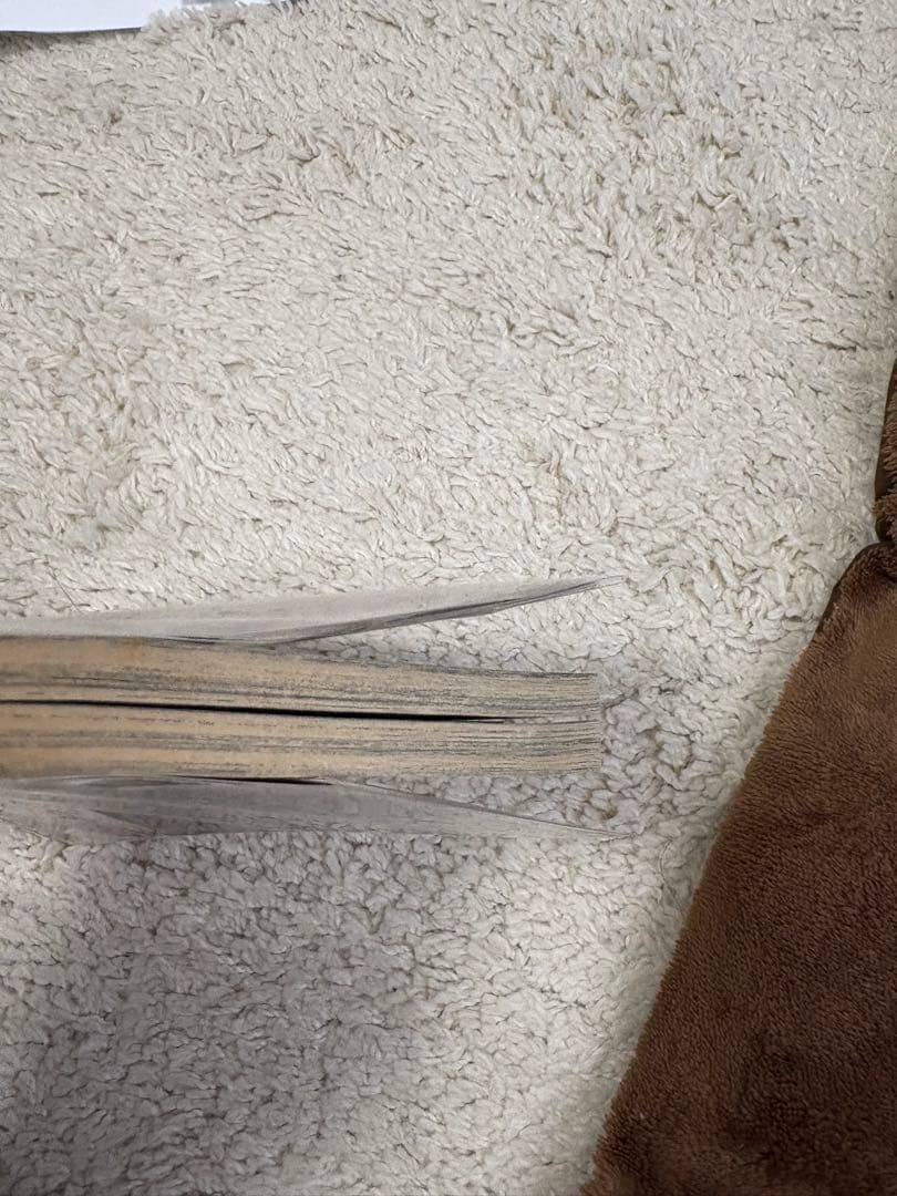 進撃の巨人　1巻　初版、帯付き　冊子付