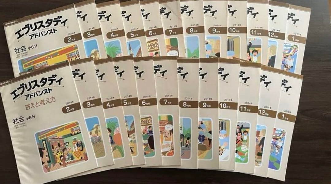 Z会　エブリスタディ　アドバンスト　国語、社会　まとめ売り