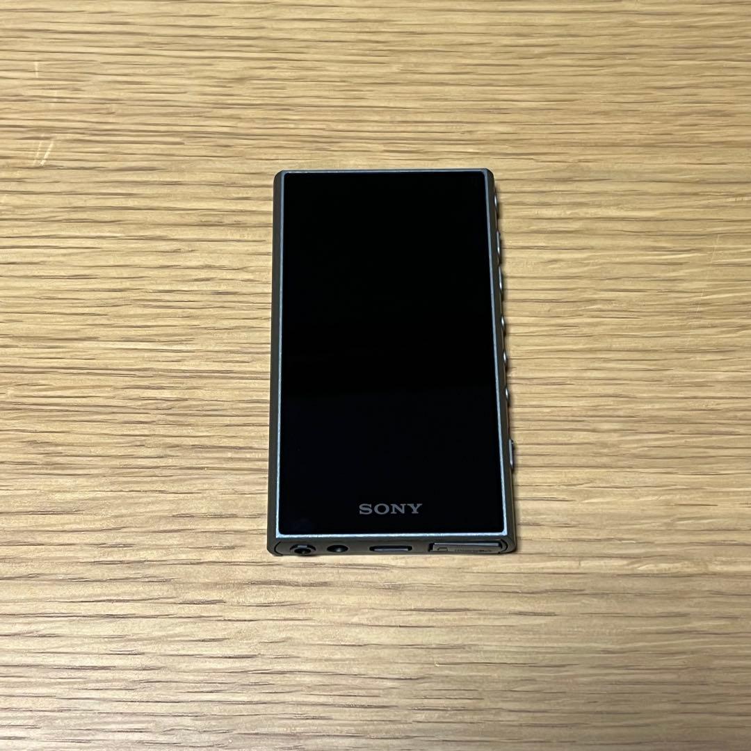SONY NW-A306 32GB /ソフトケース/MicroSD 256GB