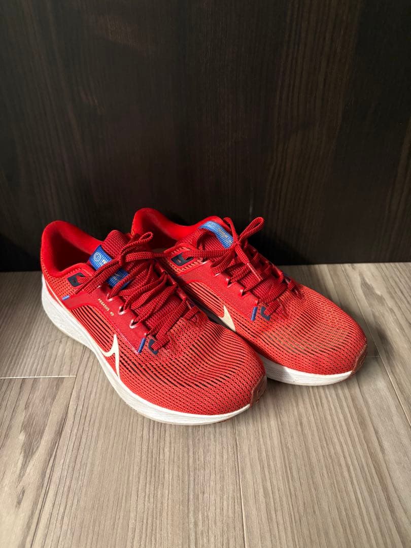 Nike Pegasus 40 レッド 25.5cm