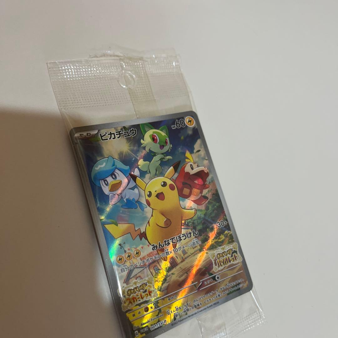 Nintendo Switch Lite ポケモンザシアン　ザマゼンタおまけ付き