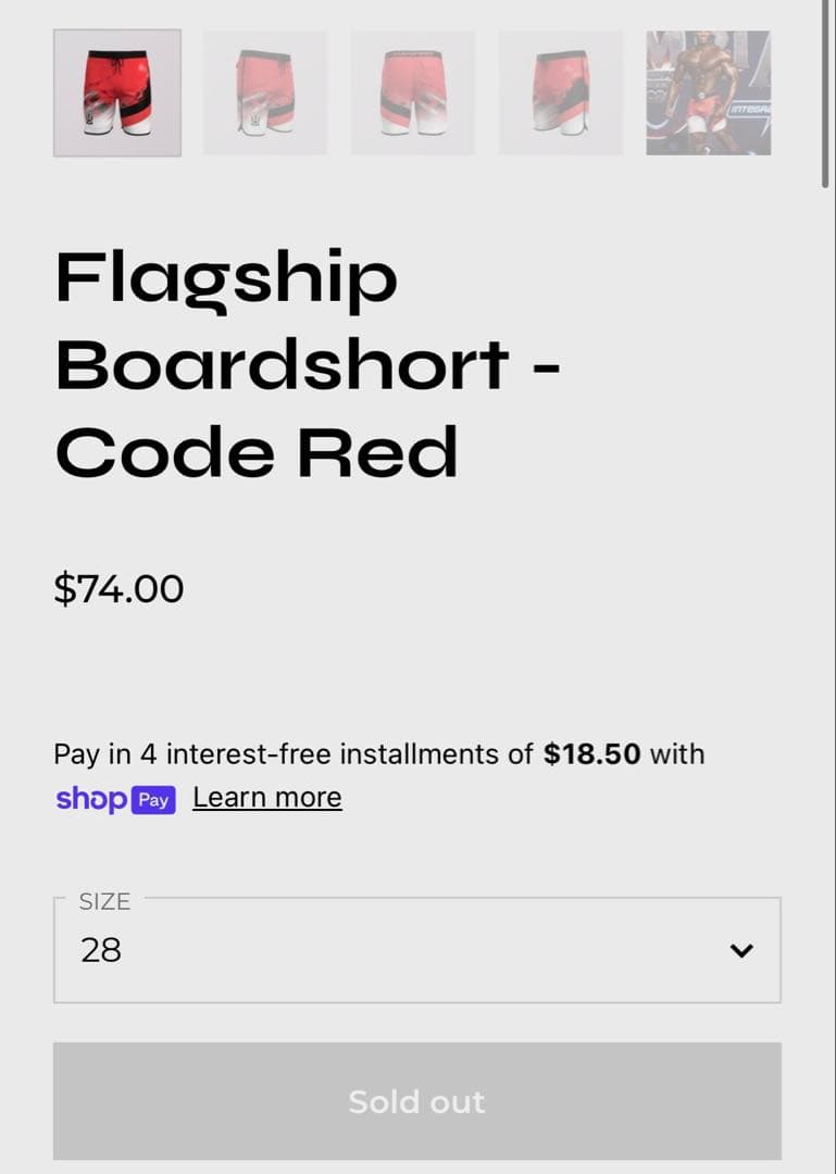 MANIFEST フィジーク サーフパンツ28インチ