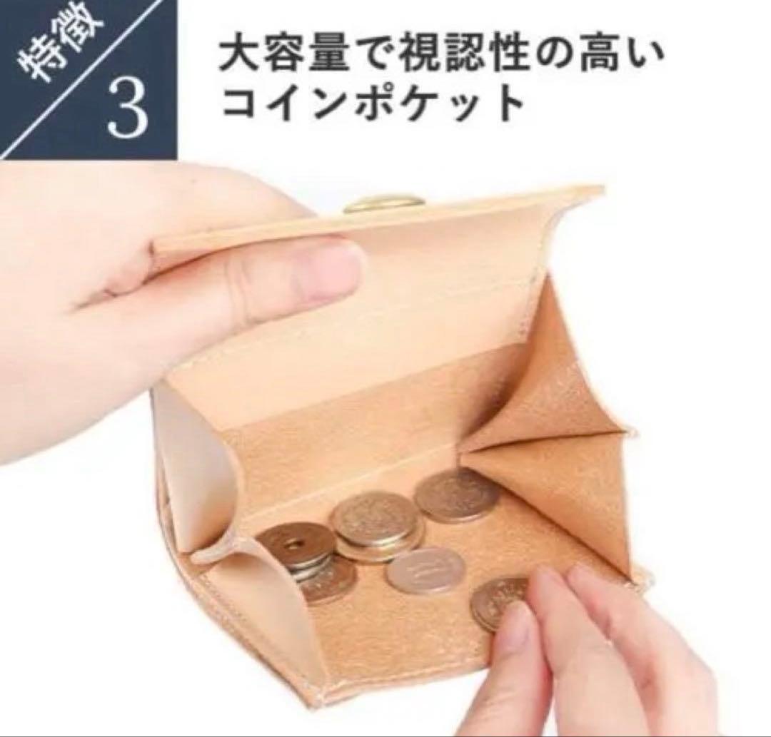 ビアベリー HATCHBACK ハッチバック ベルギーヌメ BEERBELLY