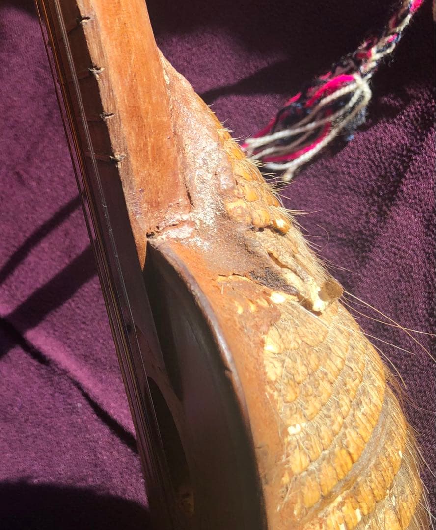 本日発送限定お値引き中 希少 マンドリン チャランゴ kirkinchu