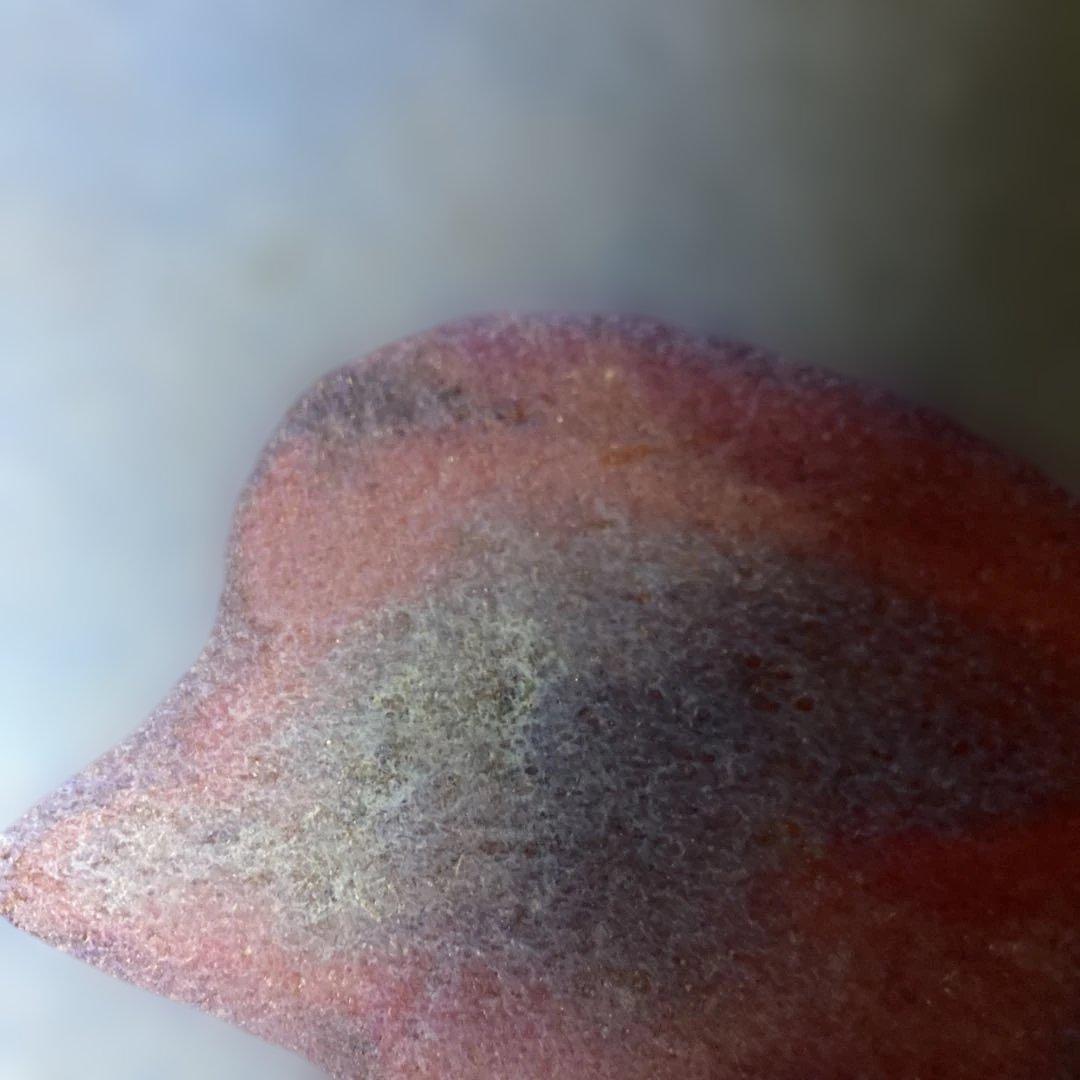 中国　藍釉　鉢　ボウル　窯変釉　美術　工芸品約高さ9cm 径17cm