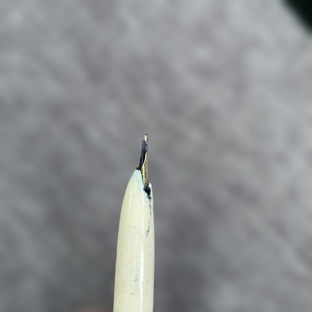 メ*ェ様 PLATINUM プラチナ万年筆 2本セット