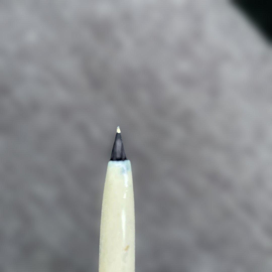 メ*ェ様 PLATINUM プラチナ万年筆 2本セット