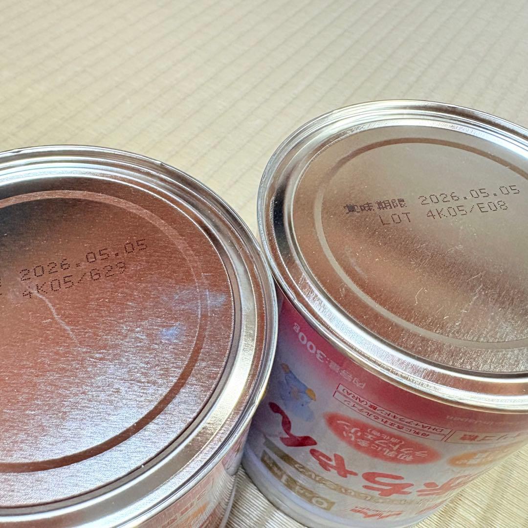 【最終値下げ】森永 E赤ちゃん エコらくパック2箱 小缶2缶