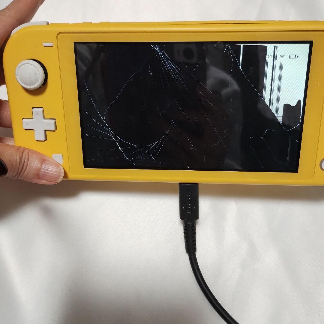 スイッチライト ジャンク品