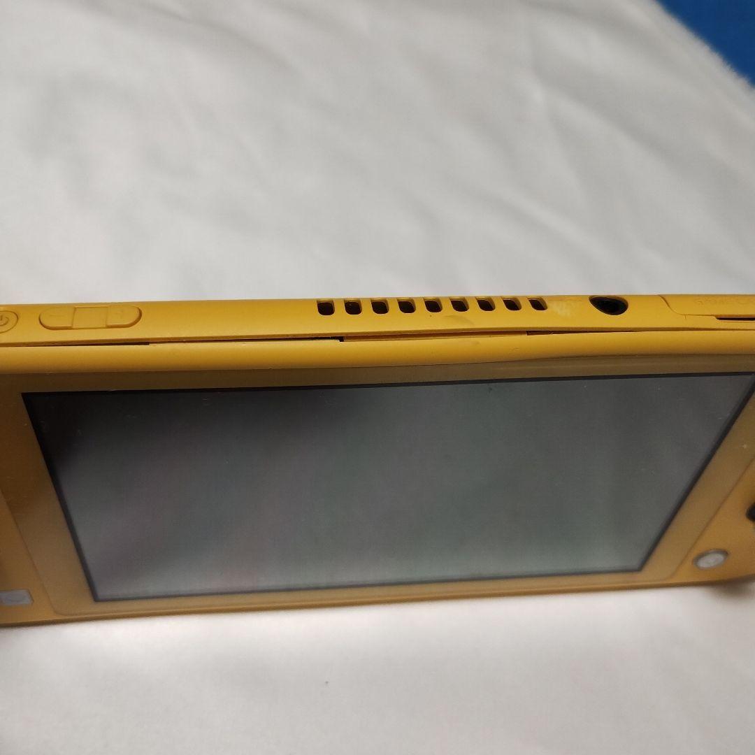 スイッチライト ジャンク品