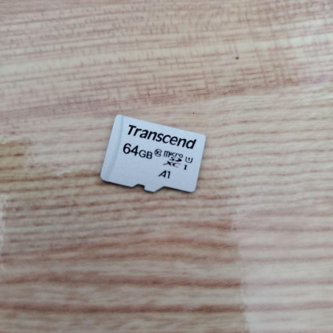 Nintendo Switch Lite ターコイズ 64GBmicroSD付き