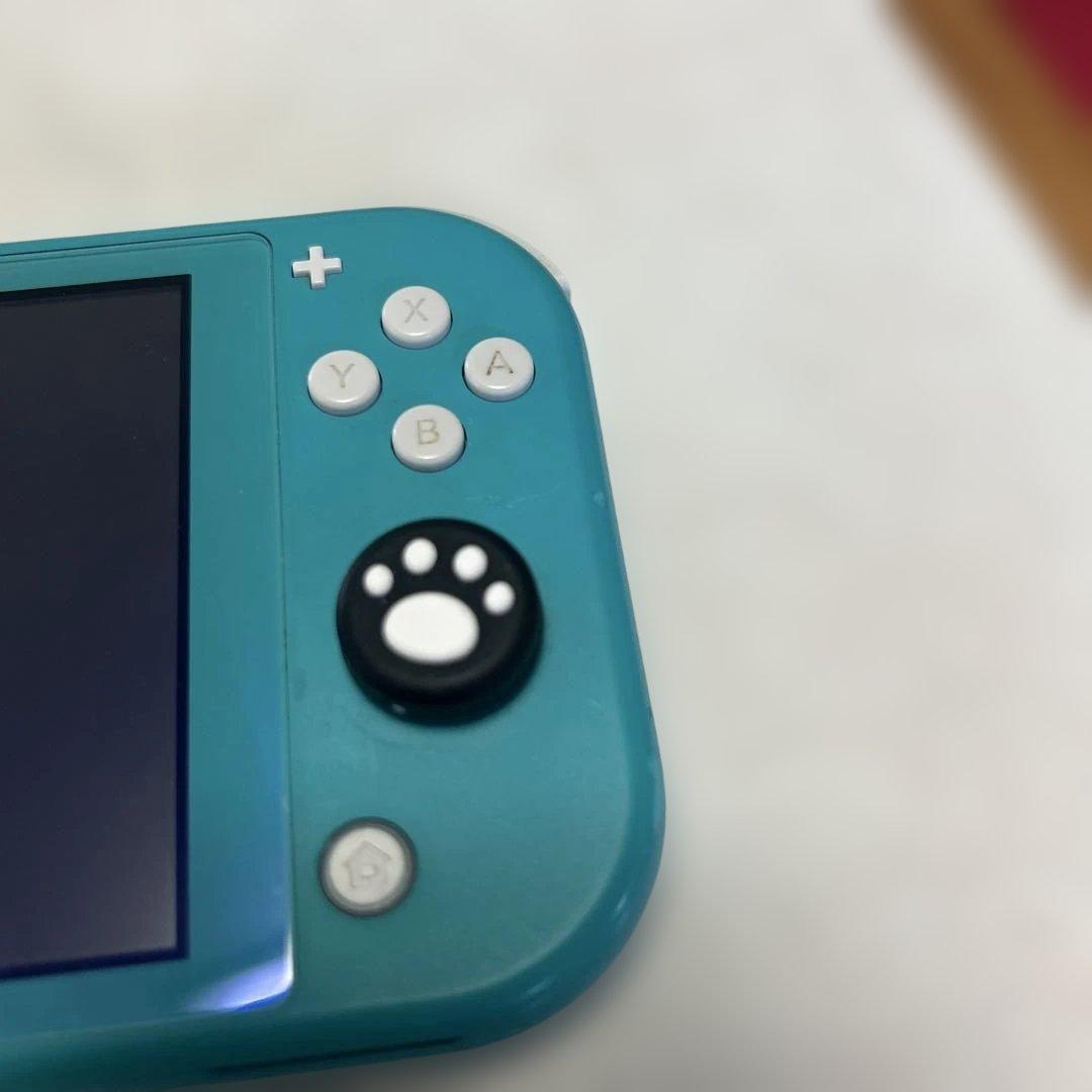 Switch lite本体 電源アダプタ