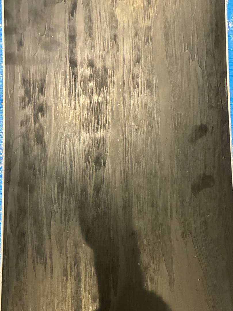 スノーボード 25-26 THE DAY.HAKUBA banana or pineapple