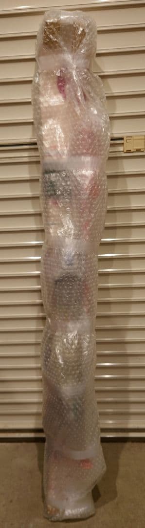 Rossignol Fungirl 子供用スキー板　120cm