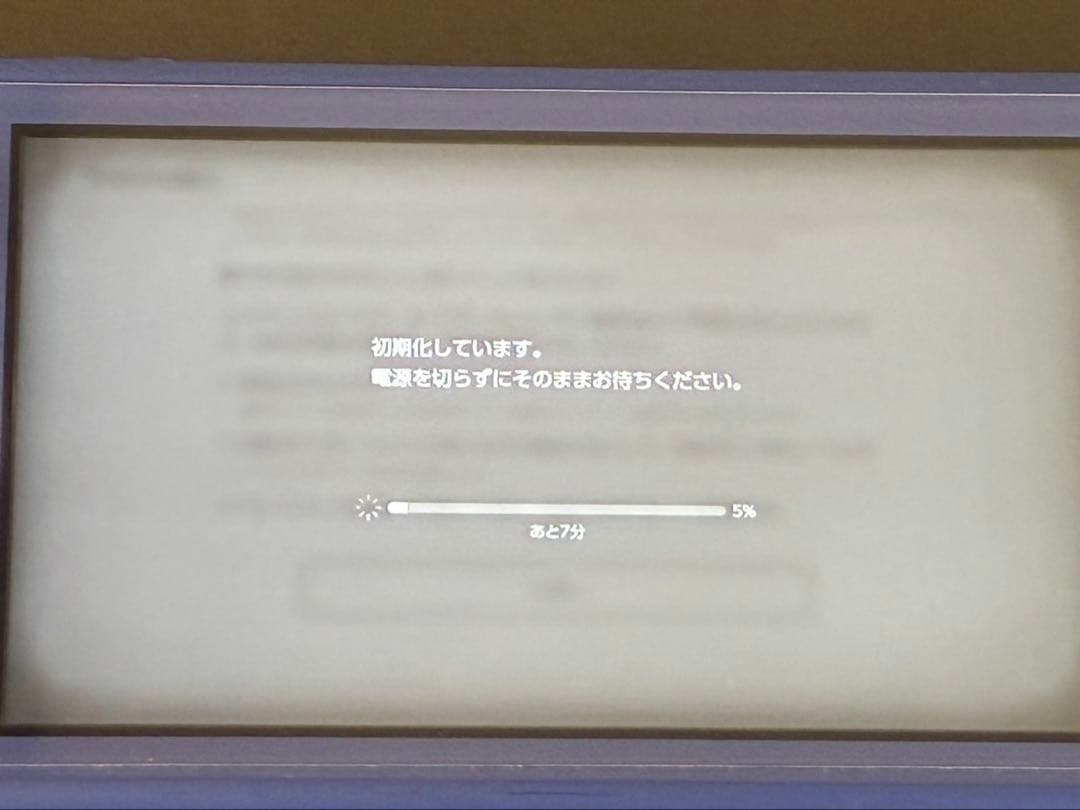 2024年購入Switch Lite 本体 ＋ ソフト6本 ＋ グリップケース付
