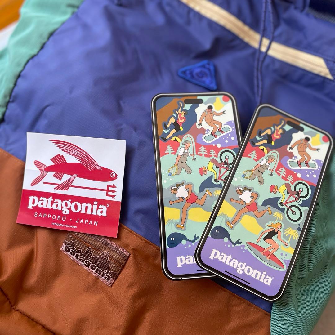 ✴︎パタゴニア テラヴィア・トート・パック 24L