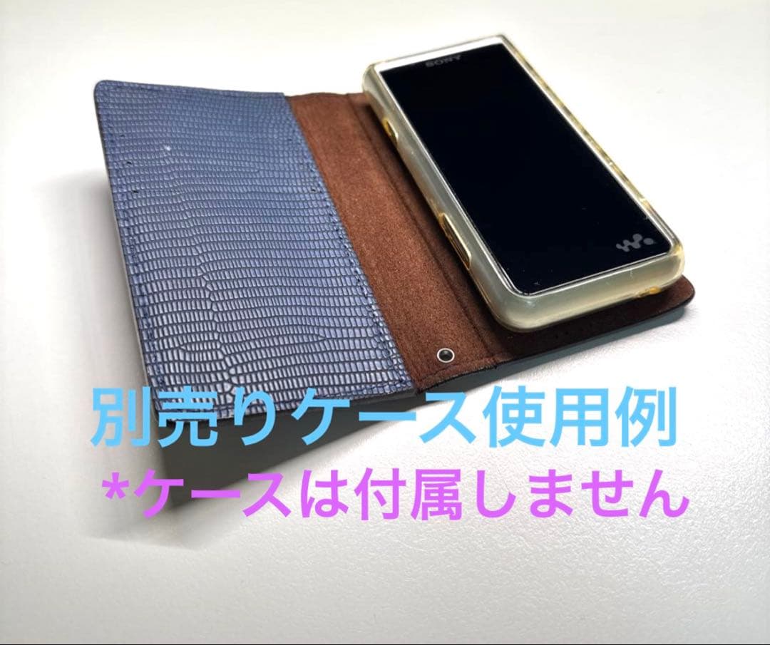 ス*タ様 【動作確認済 オマケ付 】 SONY NW-ZX507 64GB