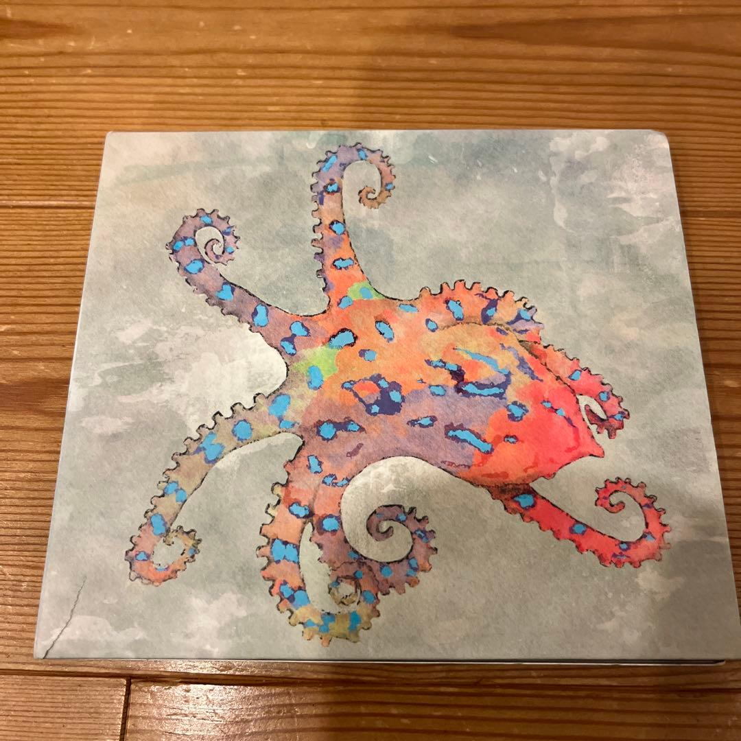 ドミコ　わお、だいびんぐ　CD