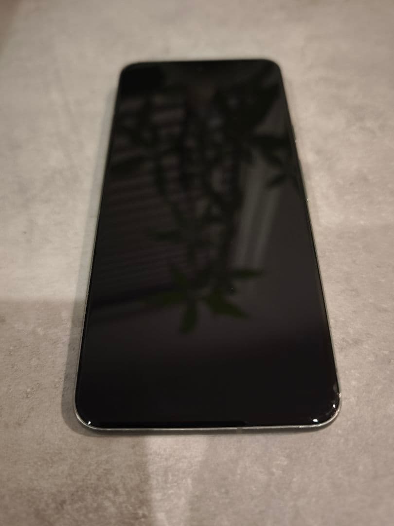 GOOGLE PIXEL8 本体 128GB HAZEL