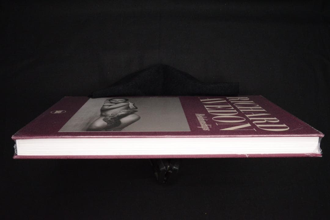 Richard Avedon: Relationships★大幅に値下げしました