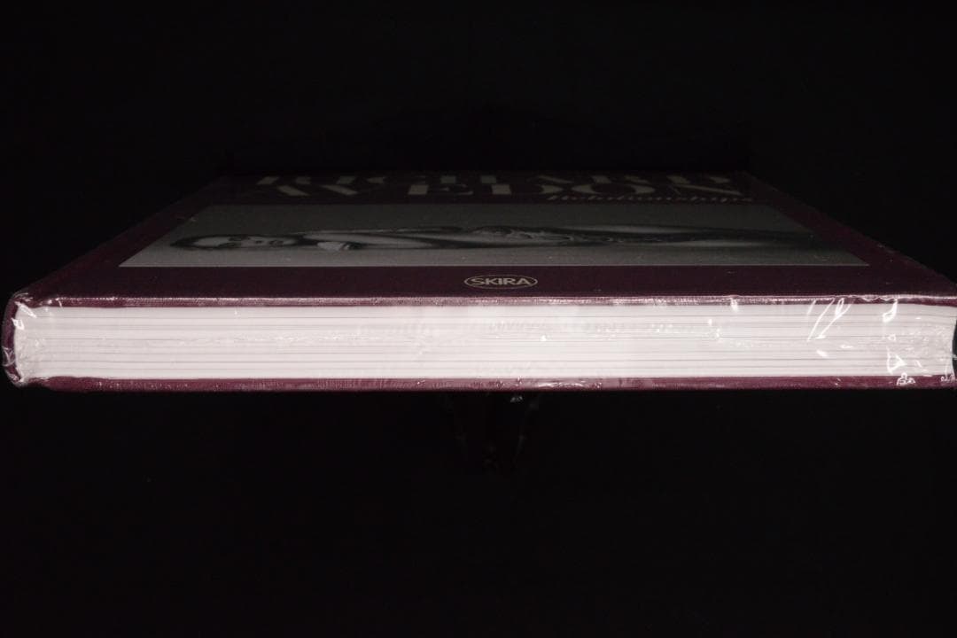 Richard Avedon: Relationships★大幅に値下げしました