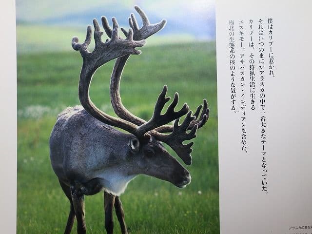 写真集「星野道夫の仕事」 全4巻セット、美品