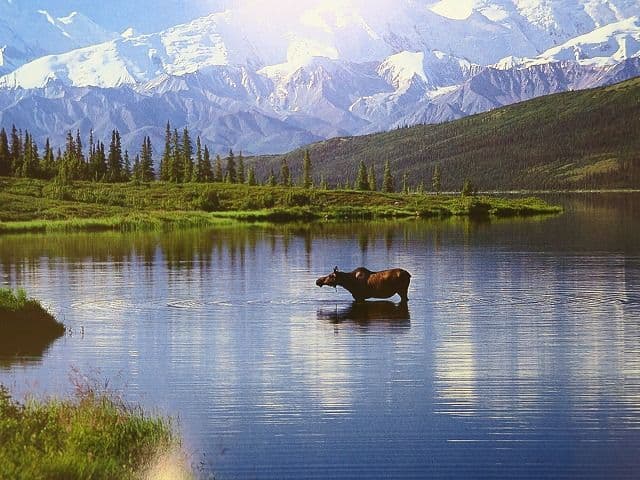 写真集「星野道夫の仕事」 全4巻セット、美品