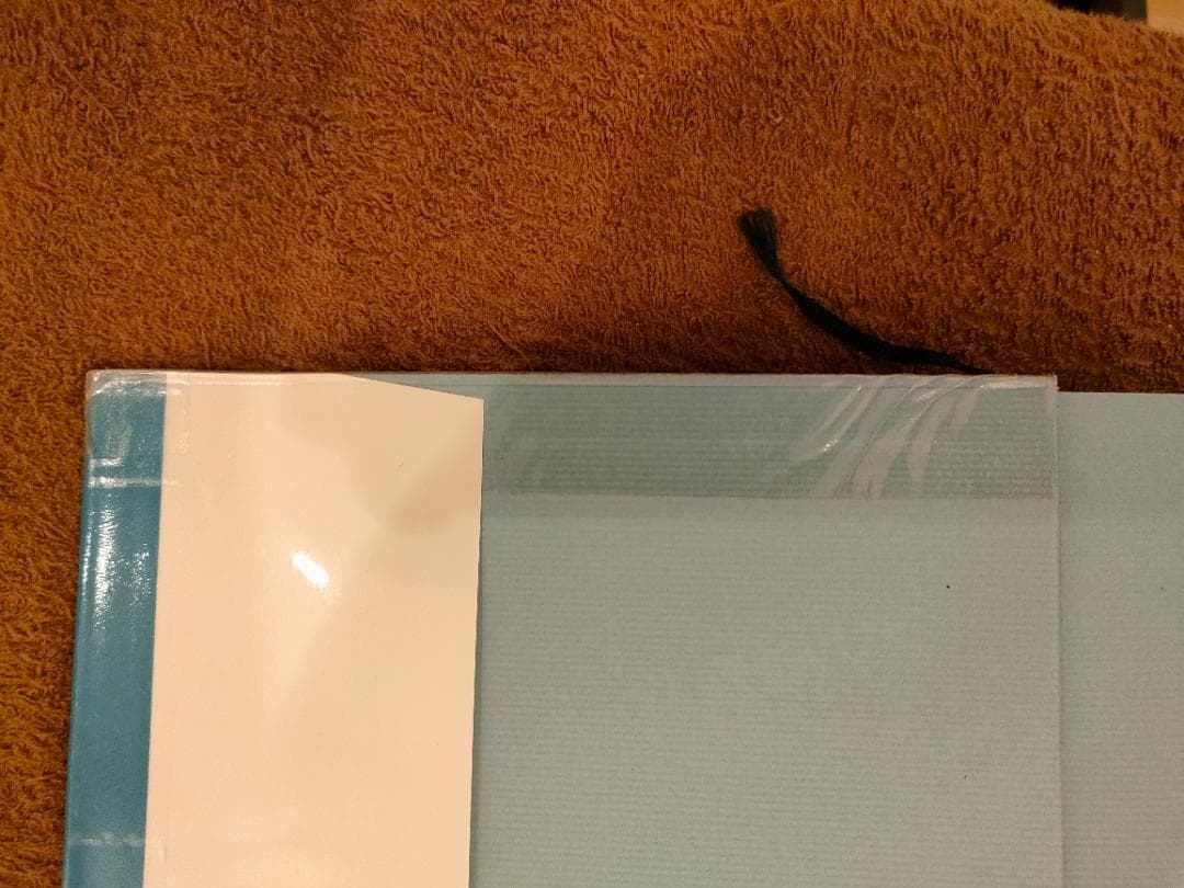 臨床整復医学 The Clinical Seifukology