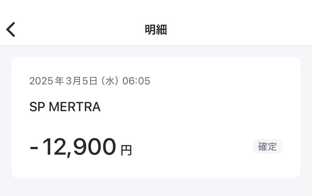 ︎mertra Layered Tee S