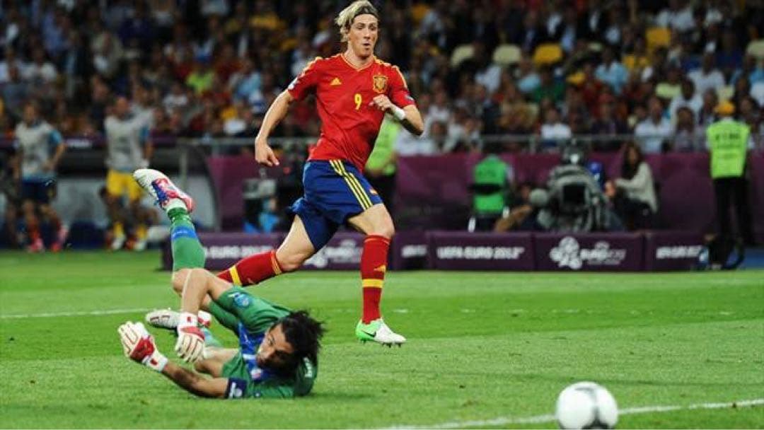 スペイン代表　マルチサイン　ユニフォーム　ワールドカップ　ユーロ　優勝　トーレス